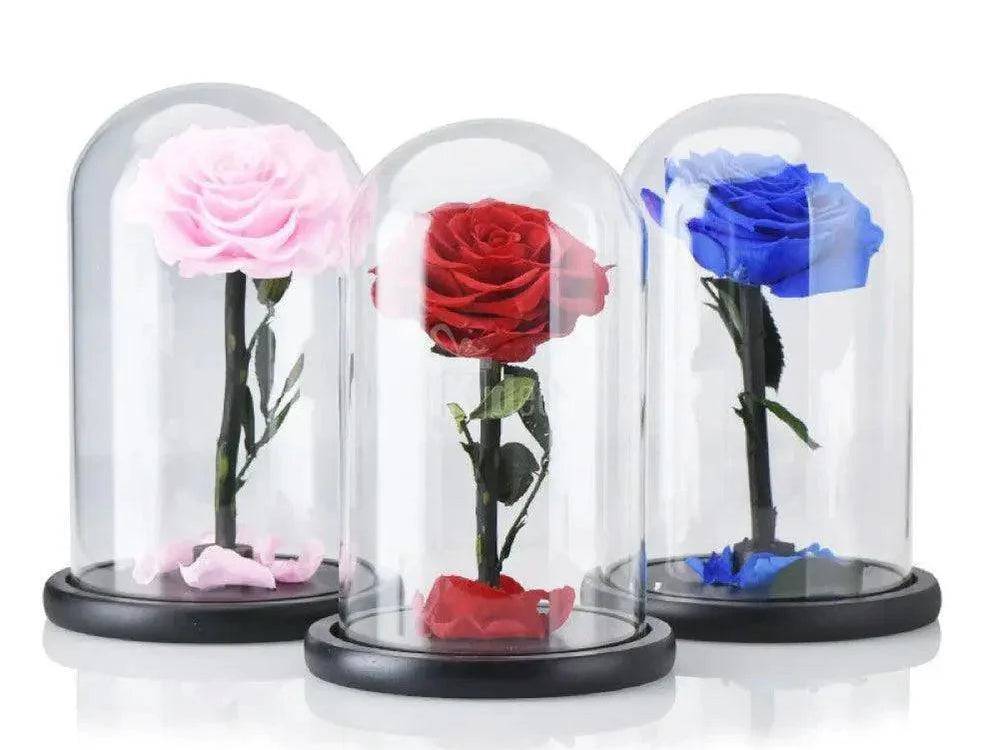 Kdeco.ro - Trandafiri Criogenati Nemuritori