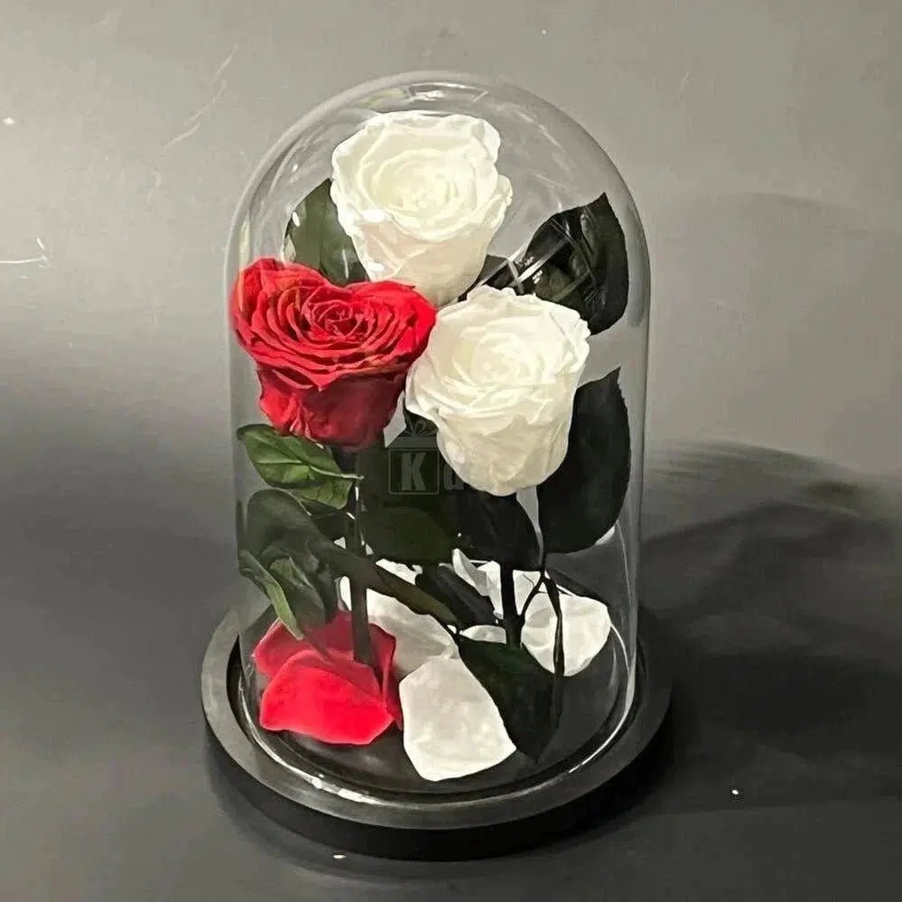 Cadoul Perfect pentru Mame - Trandafirii Criogenati (cu Mesaj) - Kdeco.ro - Trandafiri Criogenati Nemuritori