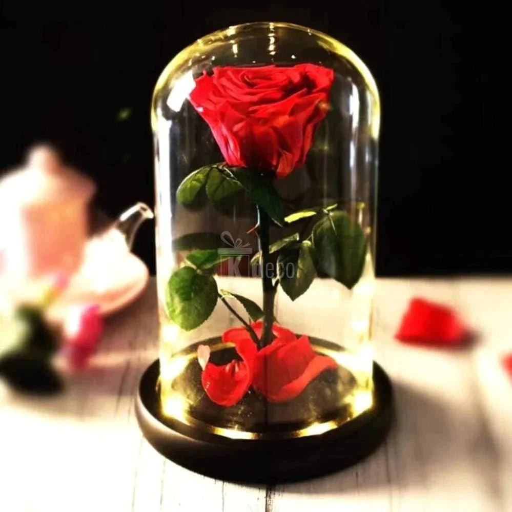 Ce este un Trandafir Criogenat Nemuritor? (Cadoul Perfect) - Kdeco.ro - Trandafiri Criogenati Nemuritori
