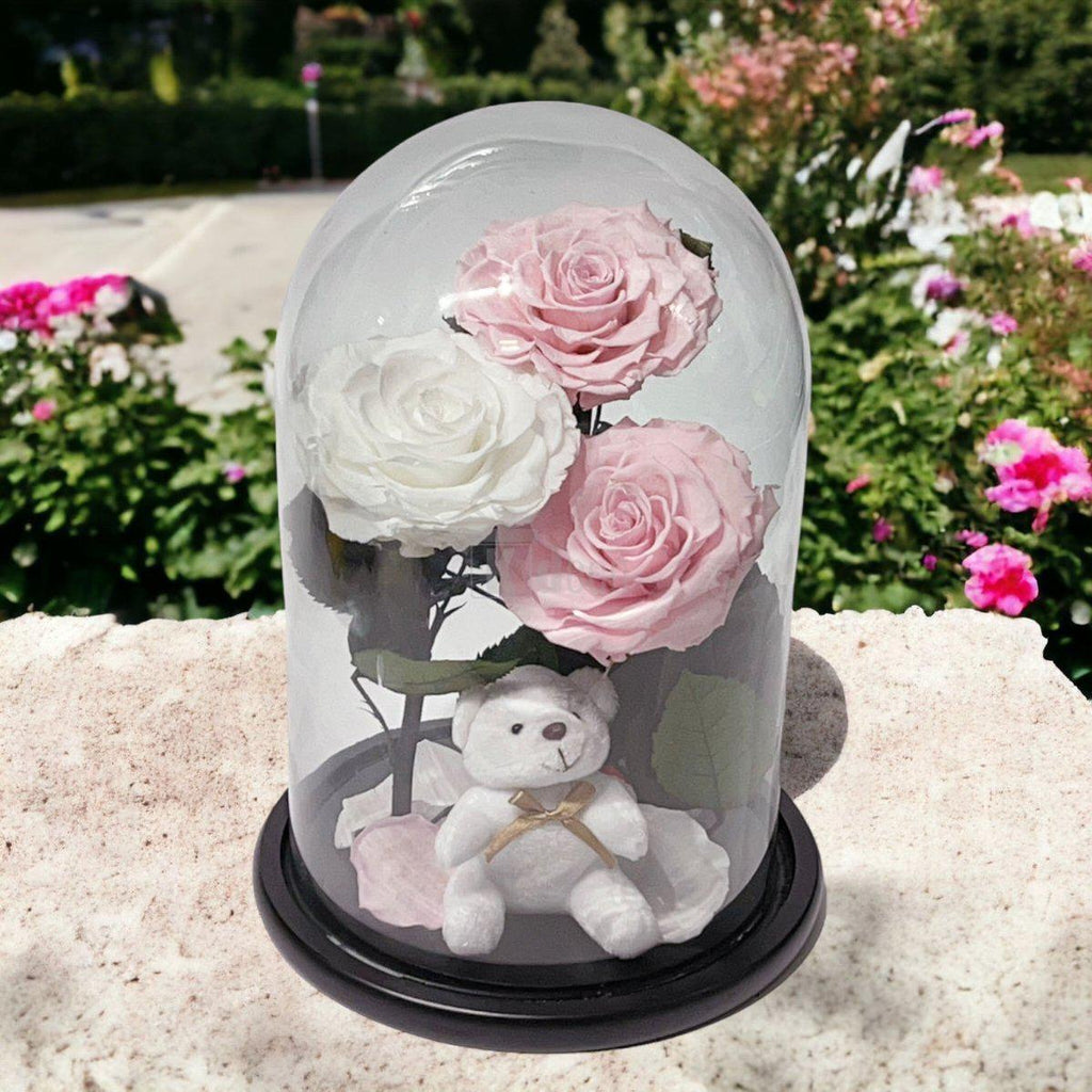 3 Trandafiri Criogenati mari (2 roz pal si 1 alb) in cupola sticla-Kdeco.ro