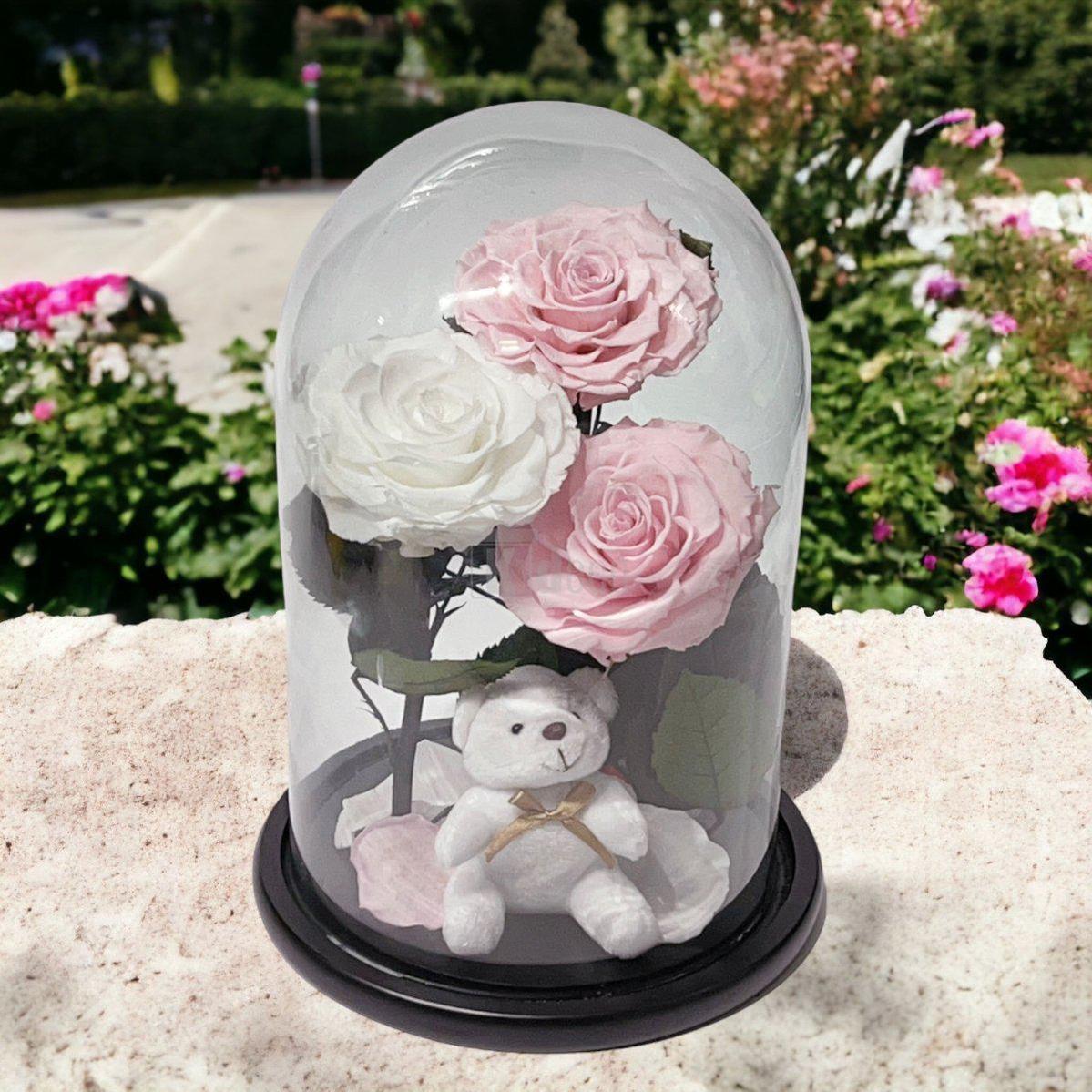 3 Trandafiri Criogenati mari (2 roz pal si 1 alb) in cupola sticla-Kdeco.ro