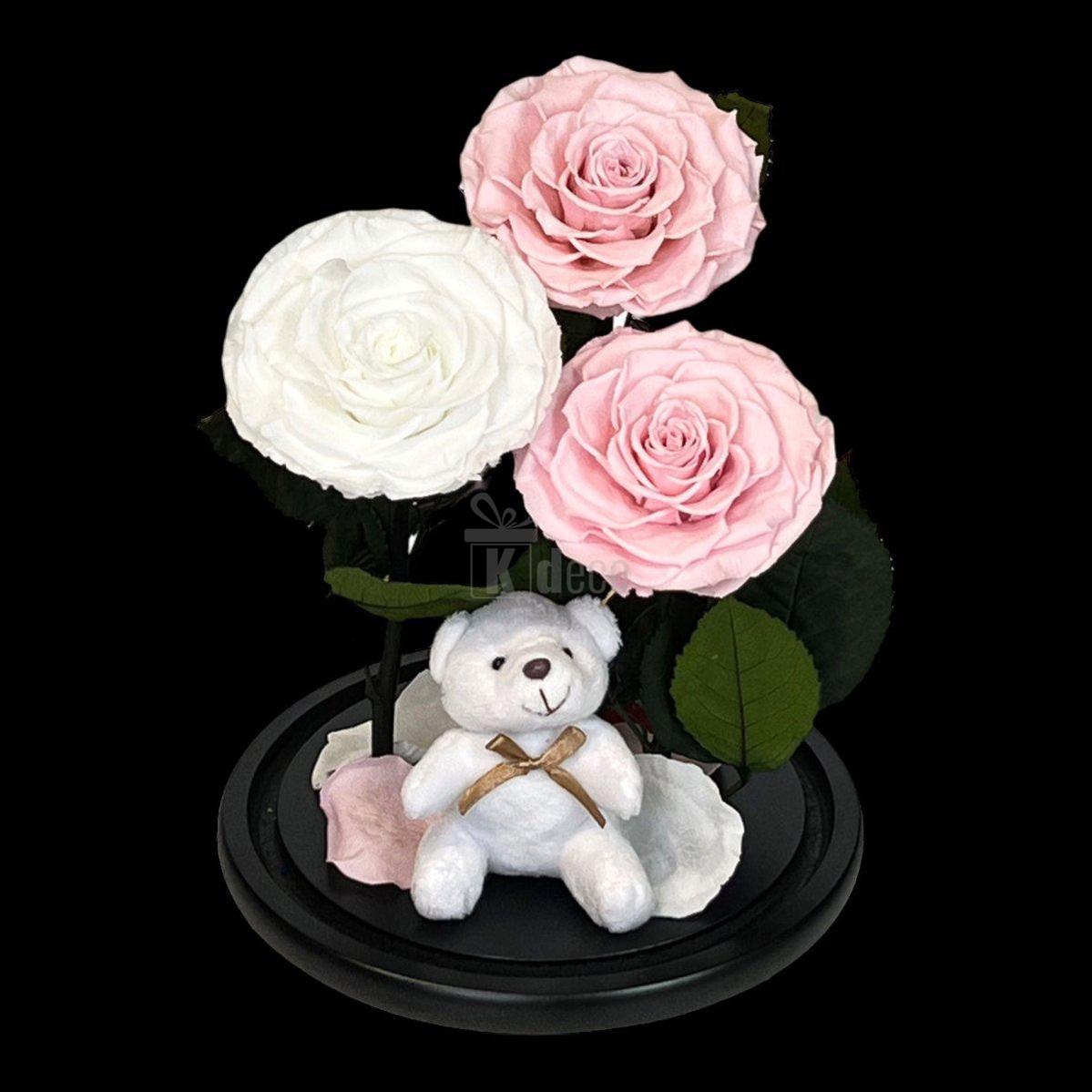 3 Trandafiri Criogenati mari (2 roz pal si 1 alb) in cupola sticla-Kdeco.ro