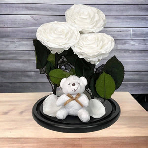 3 Trandafiri Criogenati albi mari in cupola de sticla cu ursulet-Kdeco.ro