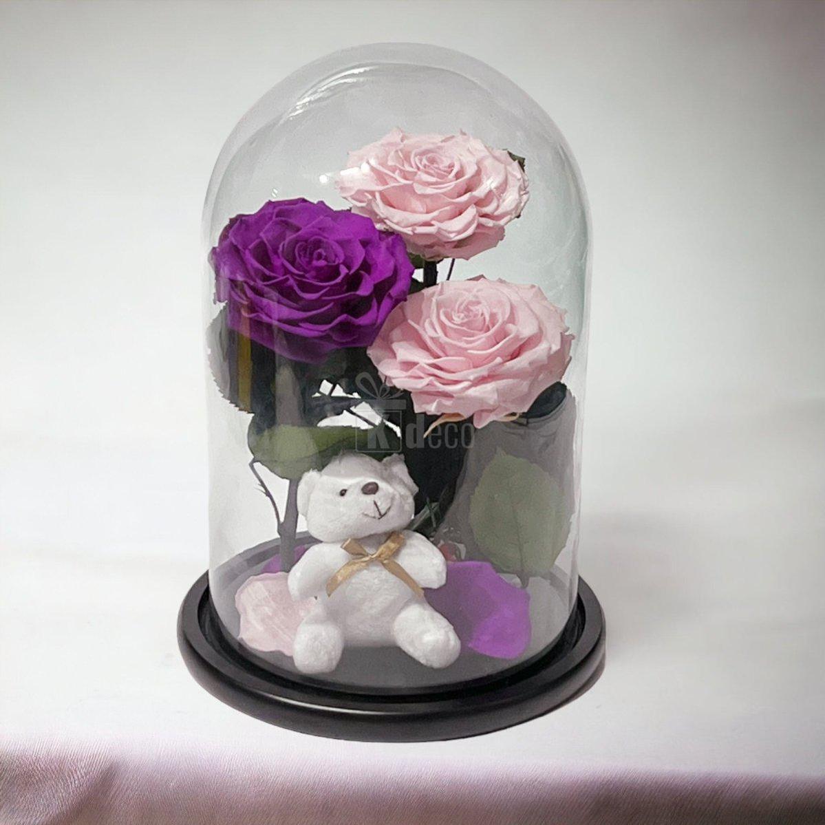 3 Trandafiri Criogenati mari (2 roz si 1 purpuriu) in cupola sticla-Kdeco.ro