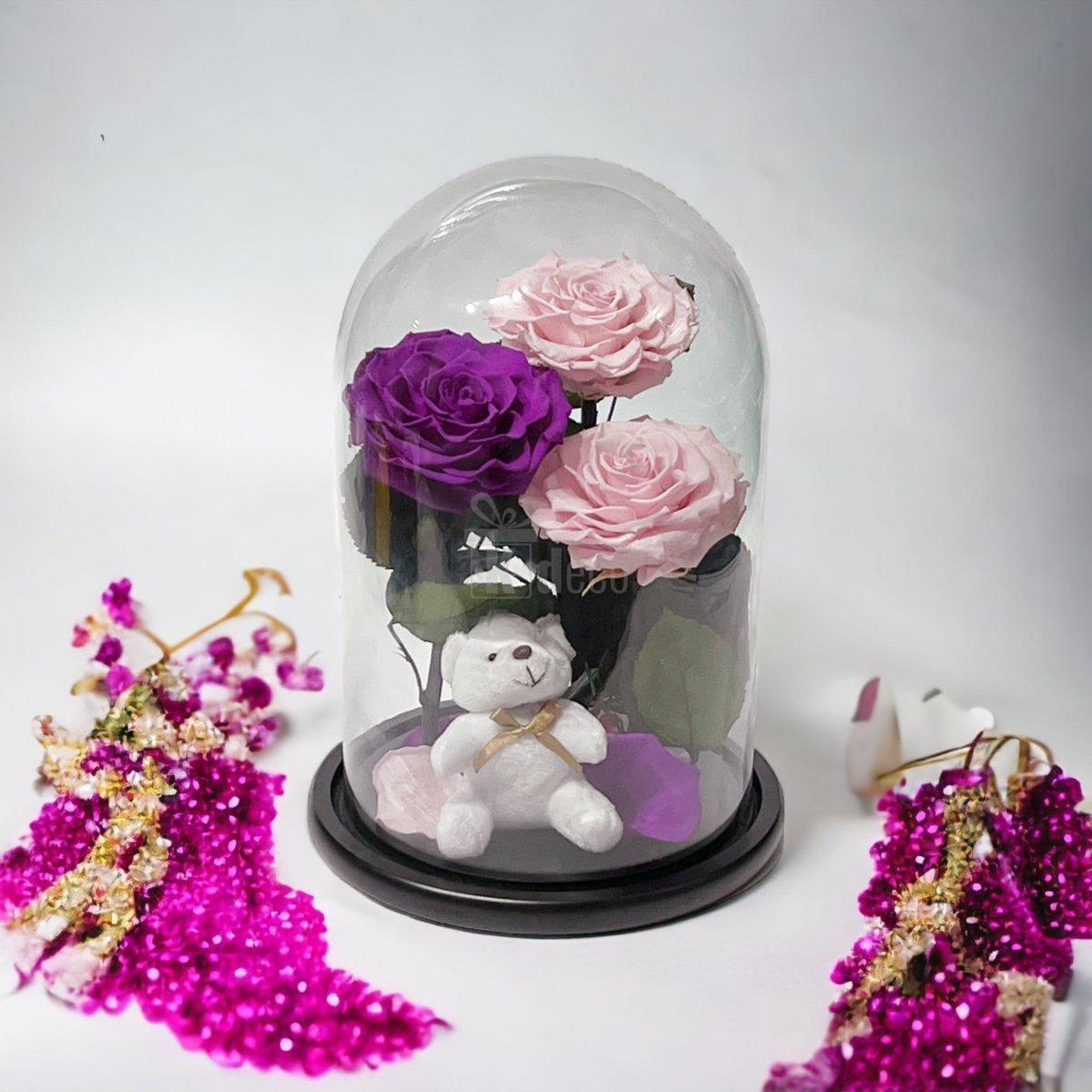 3 Trandafiri Criogenati mari (2 roz si 1 purpuriu) in cupola sticla-Kdeco.ro