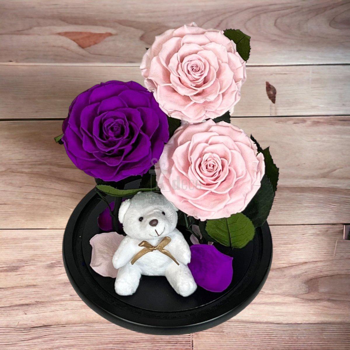 3 Trandafiri Criogenati mari (2 roz si 1 purpuriu) in cupola sticla-Kdeco.ro