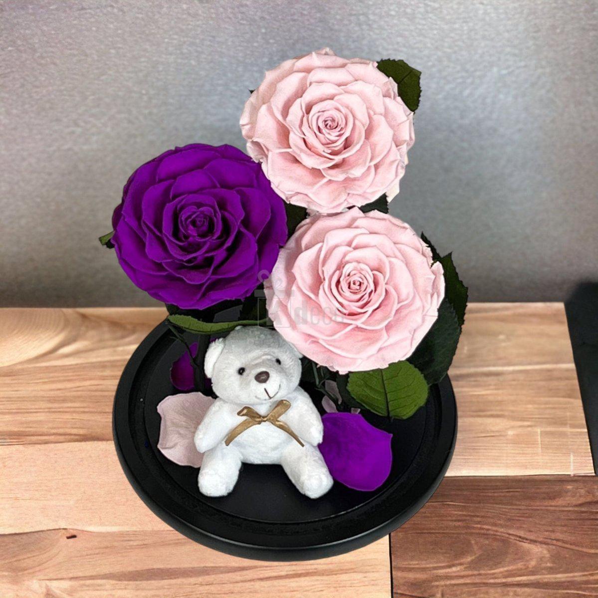 3 Trandafiri Criogenati mari (2 roz si 1 purpuriu) in cupola sticla-Kdeco.ro