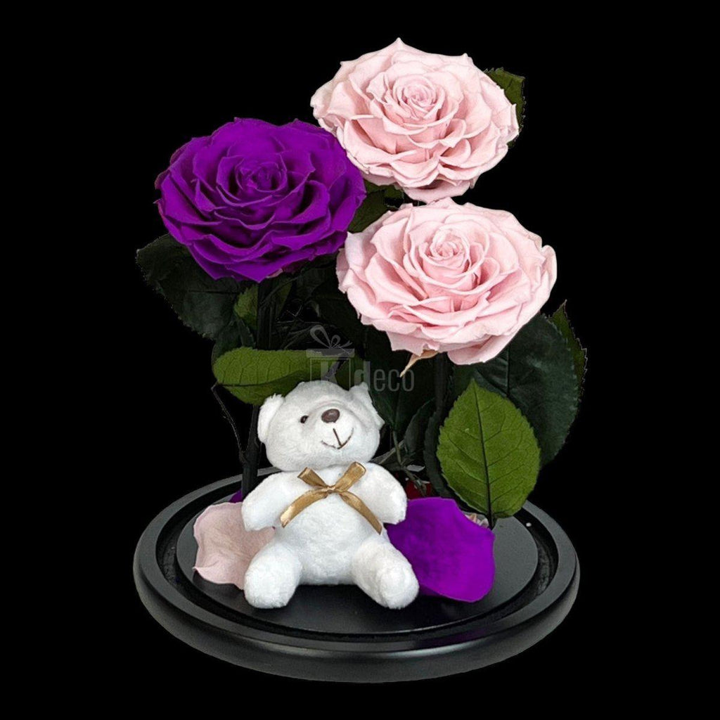 3 Trandafiri Criogenati mari (2 roz si 1 purpuriu) in cupola sticla-Kdeco.ro