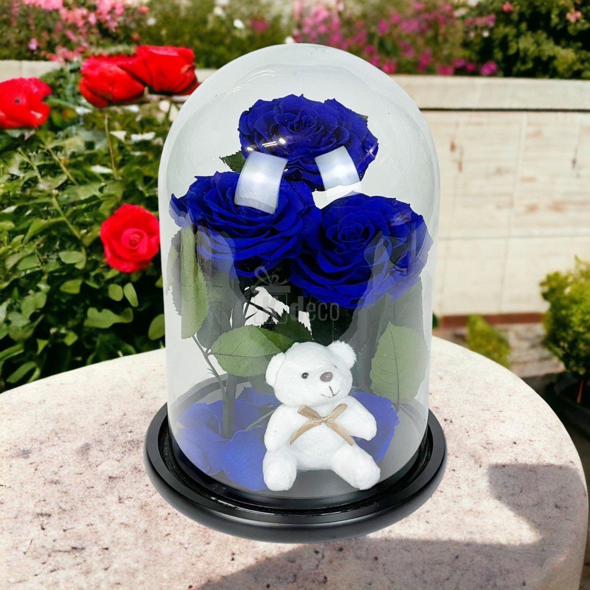 3 Trandafiri Criogenati mari albastrii in cupola de sticla cu ursulet-Kdeco.ro