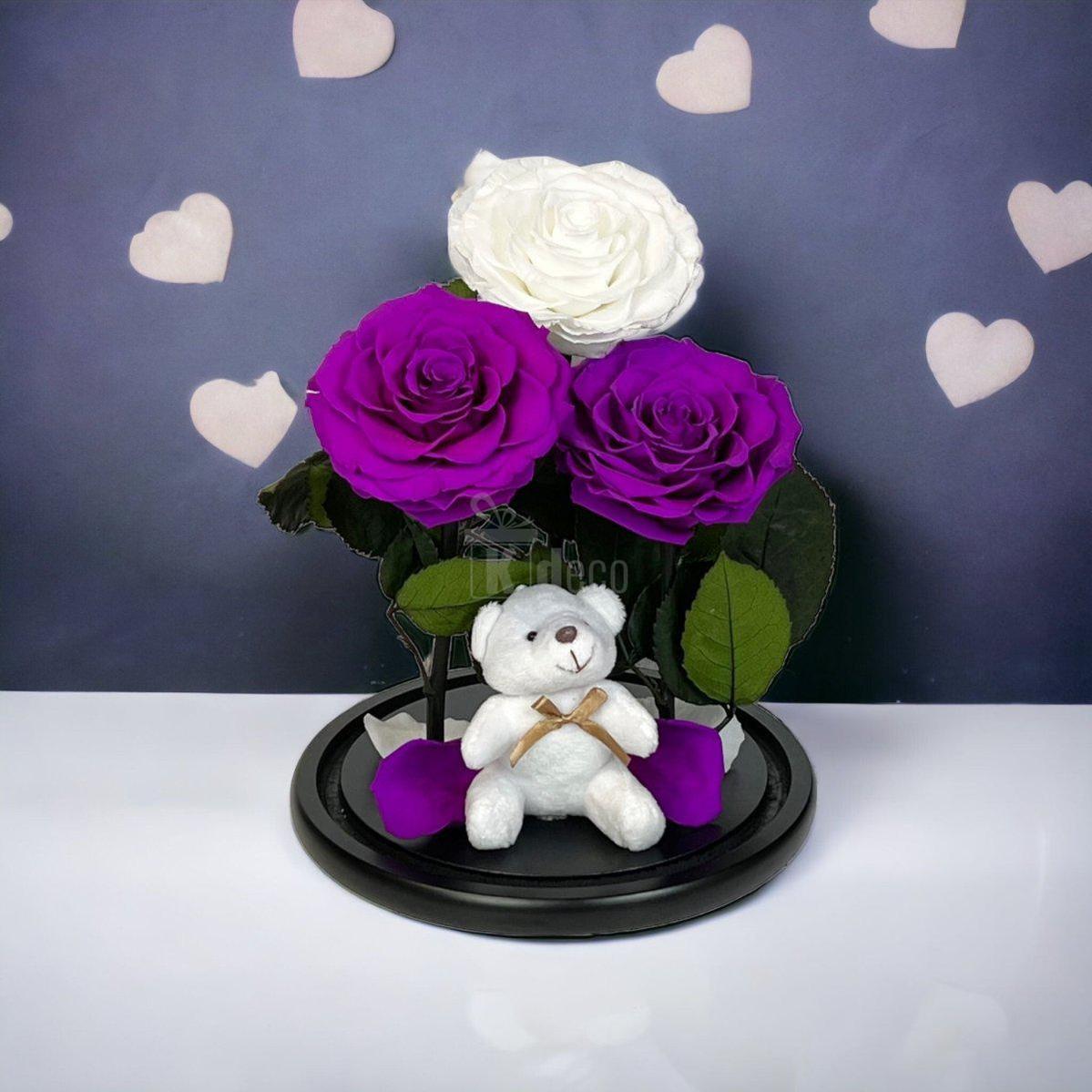 3 Trandafiri Criogenati mari (2 purpurii si 1 alb) in cupola sticla-Kdeco.ro