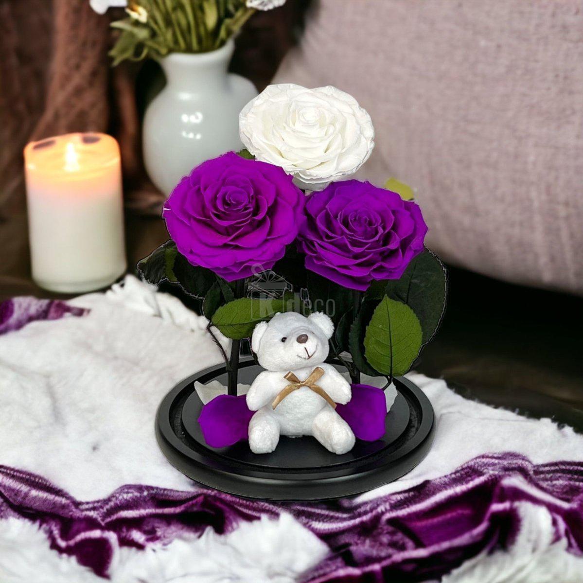 3 Trandafiri Criogenati mari (2 purpurii si 1 alb) in cupola sticla-Kdeco.ro