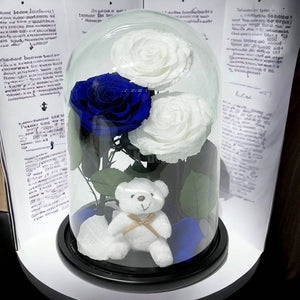 3 Trandafiri Criogenati mari (2 albi si 1 albastru) in cupola sticla cu ursulet-Kdeco.ro
