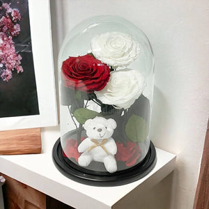 3 Trandafiri Criogenati mari (2 albi si 1 rosu) in cupola sticla cu ursulet-Kdeco.ro