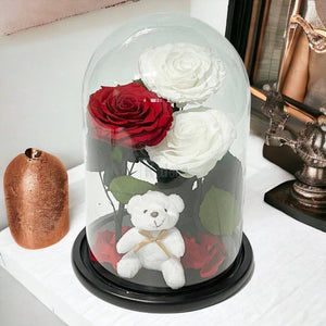 3 Trandafiri Criogenati mari (2 albi si 1 rosu) in cupola sticla cu ursulet-Kdeco.ro
