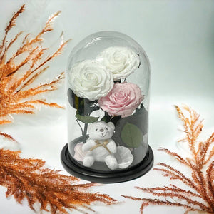 3 Trandafiri Criogenati mari (2 albi si 1 roz pal) in cupola sticla cu ursulet-Kdeco.ro