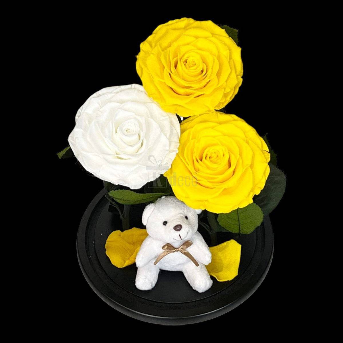 3 Trandafiri Criogenati mari (2 galbeni si 1 alb) in cupola sticla cu ursulet-Kdeco.ro
