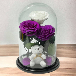3 Trandafiri Criogenati mari (2 purpurii si 1 alb) in cupola sticla-Kdeco.ro