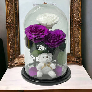 3 Trandafiri Criogenati mari (2 purpurii si 1 alb) in cupola sticla-Kdeco.ro