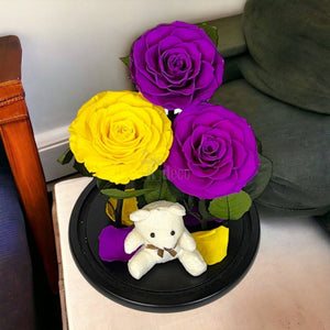 3 Trandafiri Criogenati mari (2 purpurii si 1 galben) in cupola sticla-Kdeco.ro