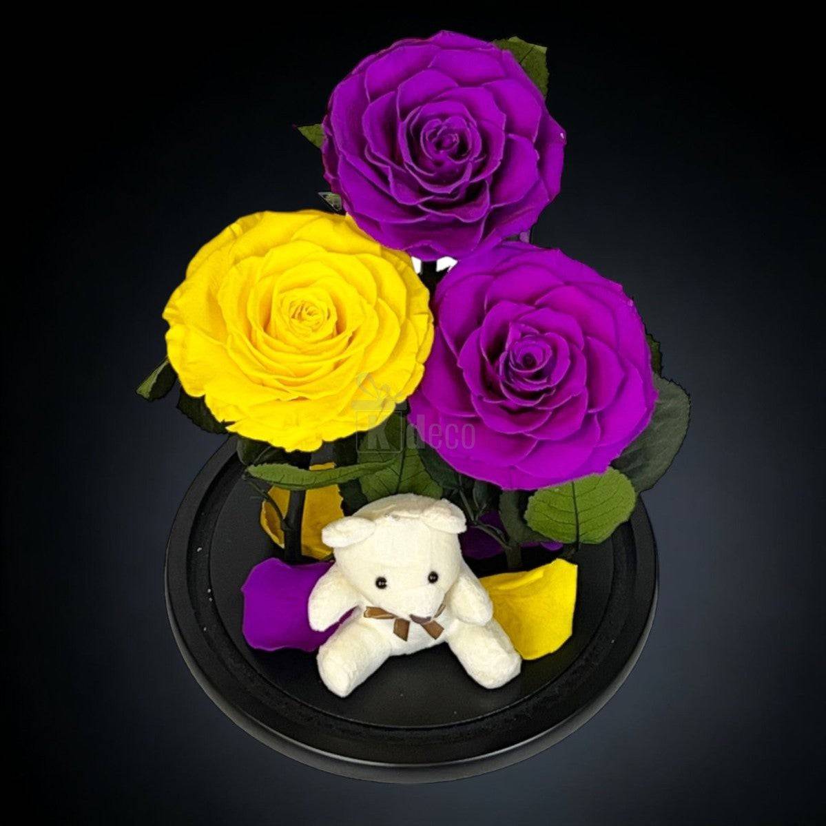 3 Trandafiri Criogenati mari (2 purpurii si 1 galben) in cupola sticla-Kdeco.ro