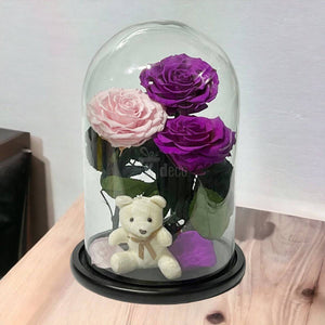 3 Trandafiri Criogenati mari (2 purpurii si 1 roz pal) in cupola sticla-Kdeco.ro