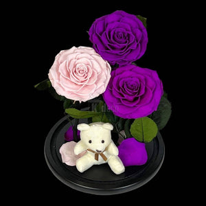 3 Trandafiri Criogenati mari (2 purpurii si 1 roz pal) in cupola sticla-Kdeco.ro