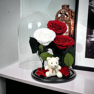 3 Trandafiri Criogenati mari (2 rosii si 1 alb) in cupola sticla-Kdeco.ro