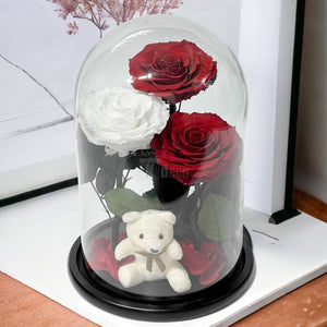 3 Trandafiri Criogenati mari (2 rosii si 1 alb) in cupola sticla-Kdeco.ro