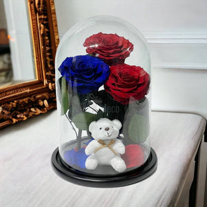 3 Trandafiri Criogenati mari (2 rosii si 1 albastru) in cupola sticla-Kdeco.ro
