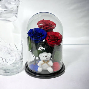 3 Trandafiri Criogenati mari (2 rosii si 1 albastru) in cupola sticla-Kdeco.ro