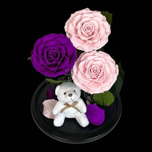 3 Trandafiri Criogenati mari (2 roz si 1 purpuriu) in cupola sticla-Kdeco.ro