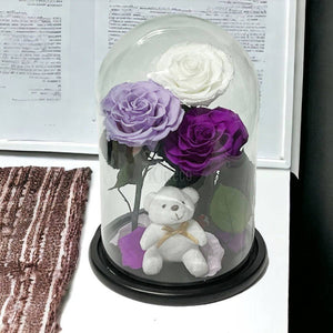 3 Trandafiri Criogenati mari (alb, lila, purpuriu) in cupola de sticla-Kdeco.ro
