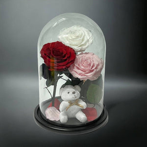 3 Trandafiri Criogenati mari (alb, rosu, roz pal) in cupola de sticla-Kdeco.ro