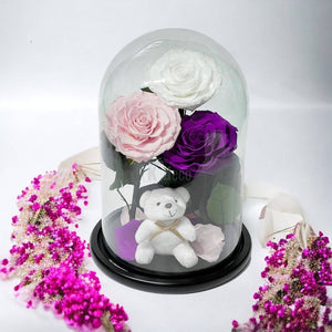 3 Trandafiri Criogenati mari (alb, roz, purpuriu) in cupola de sticla-Kdeco.ro