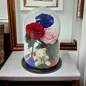 3 Trandafiri Criogenati mari (rosu, albastru, roz) in cupola de sticla-Kdeco.ro
