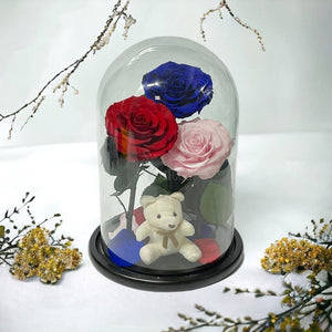 3 Trandafiri Criogenati mari (rosu, albastru, roz) in cupola de sticla-Kdeco.ro