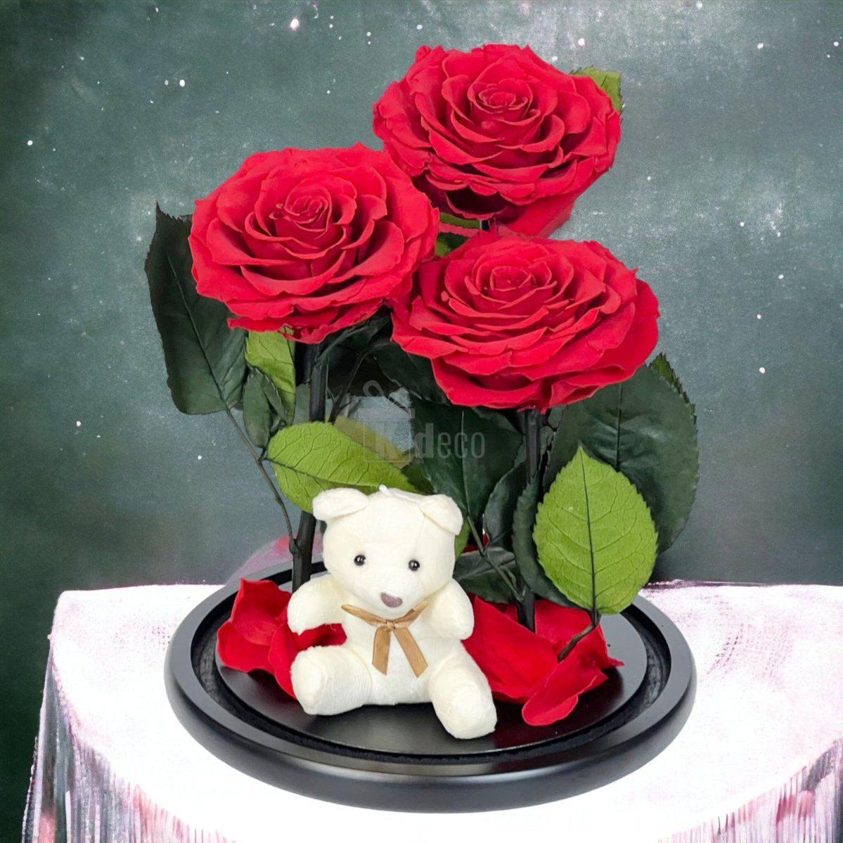 3 Trandafiri Criogenati rosii mari in cupola de sticla cu ursulet-Kdeco.ro