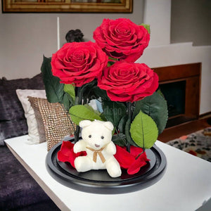 3 Trandafiri Criogenati rosii mari in cupola de sticla cu ursulet-Kdeco.ro
