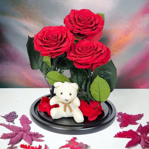 3 Trandafiri Criogenati rosii mari in cupola de sticla cu ursulet-Kdeco.ro