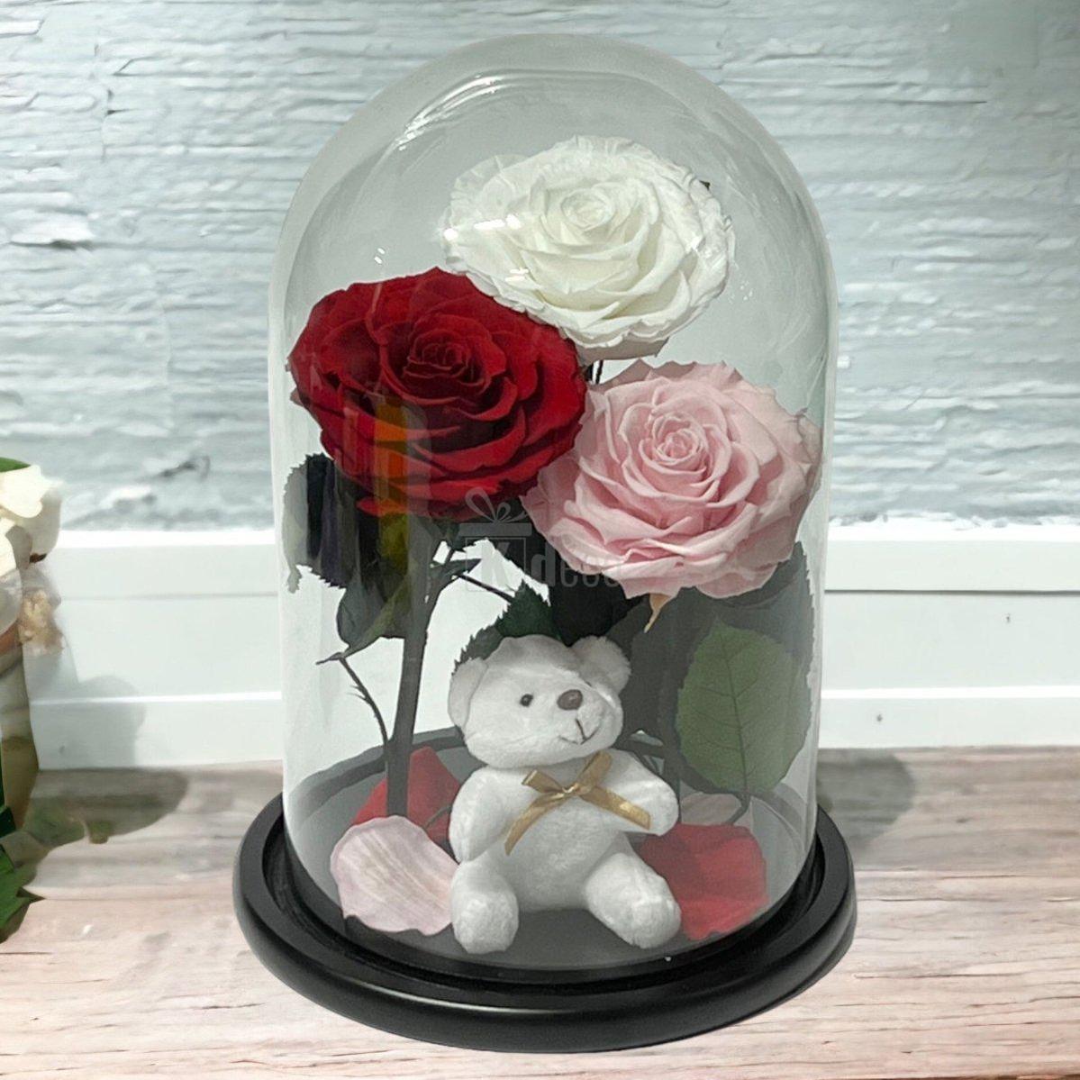 3 Trandafiri Criogenati mari (alb, rosu, roz pal) in cupola de sticla-Kdeco.ro