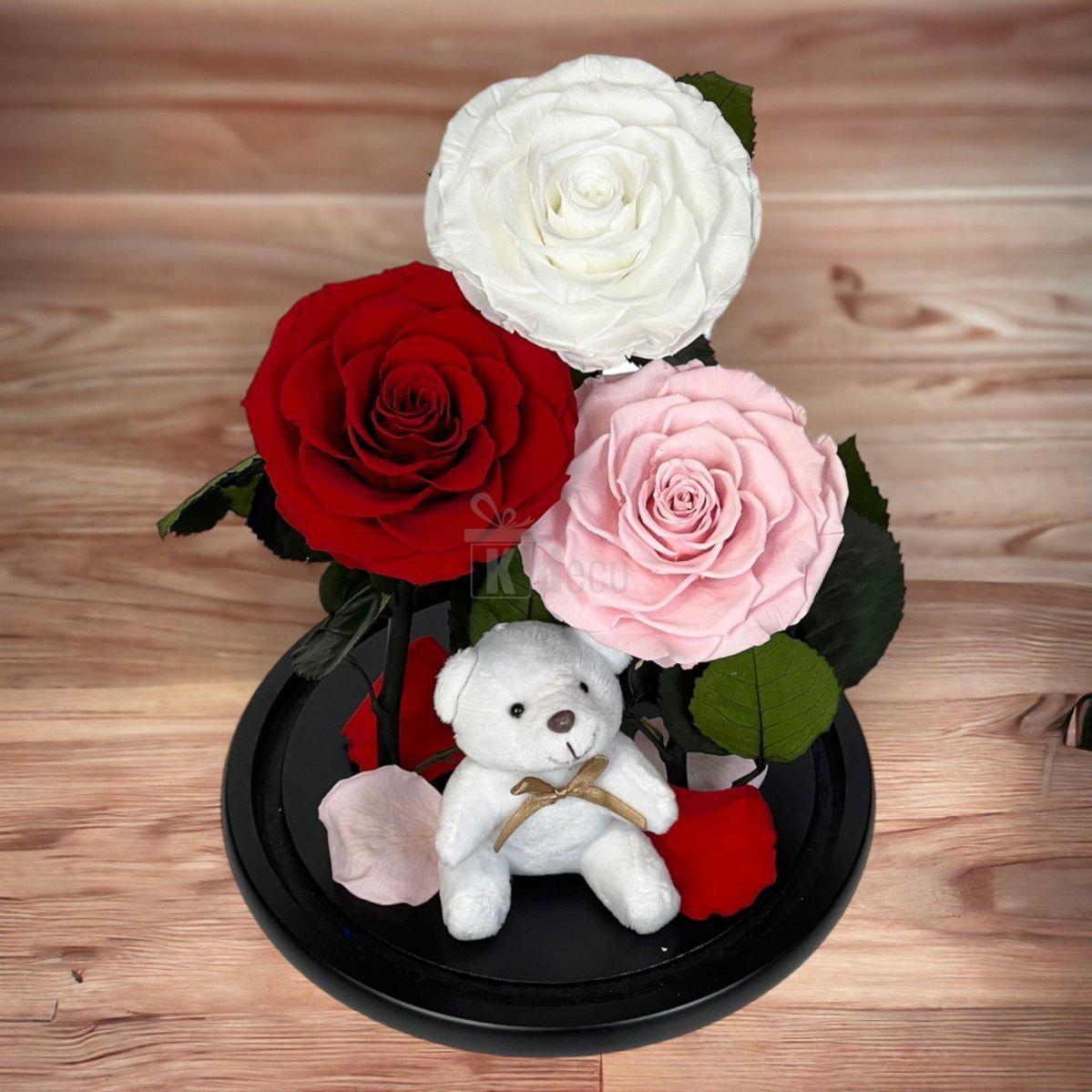 3 Trandafiri Criogenati mari (alb, rosu, roz pal) in cupola de sticla-Kdeco.ro