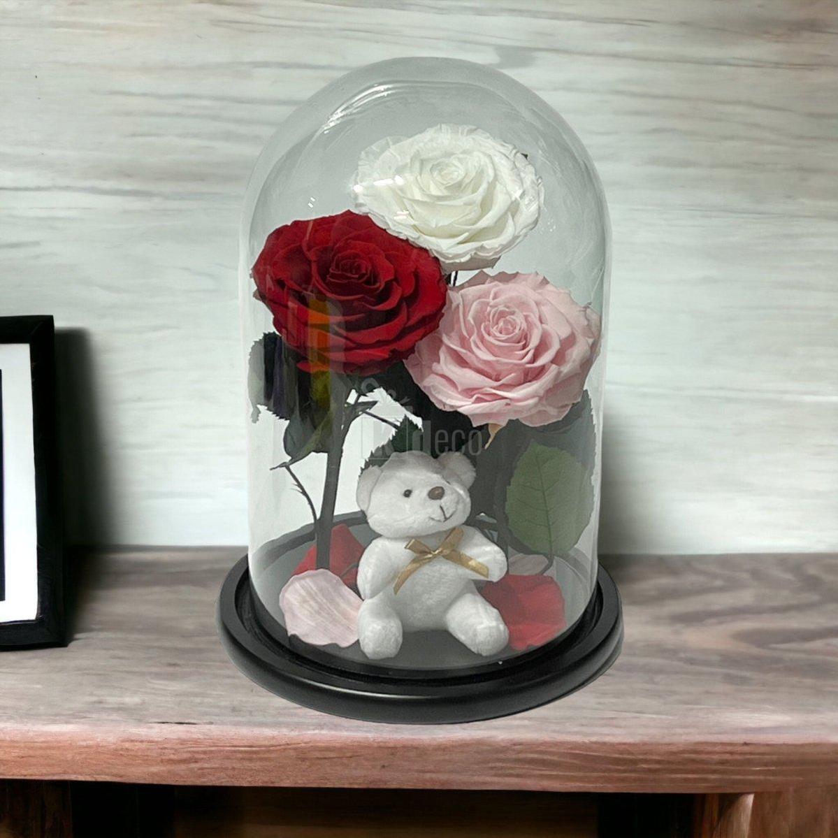 3 Trandafiri Criogenati mari (alb, rosu, roz pal) in cupola de sticla-Kdeco.ro