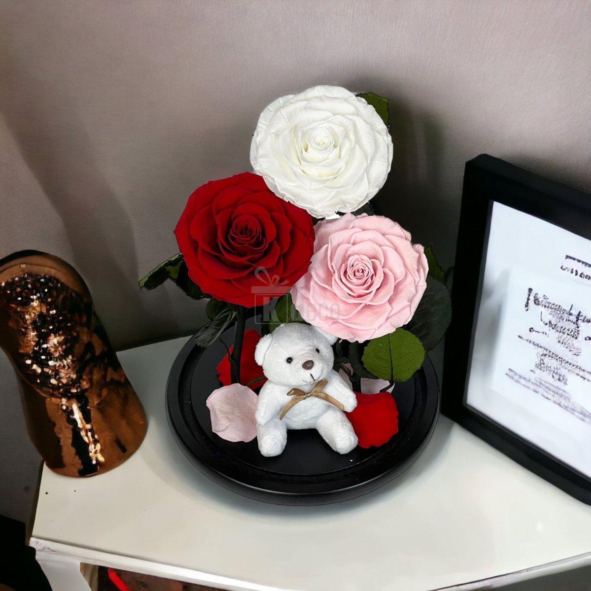 3 Trandafiri Criogenati mari (alb, rosu, roz pal) in cupola de sticla-Kdeco.ro