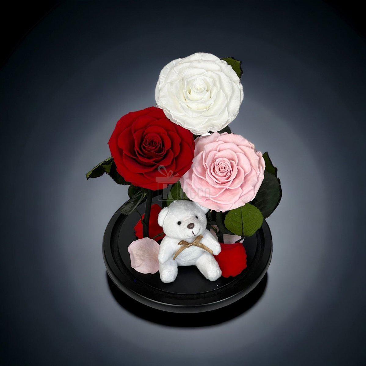 3 Trandafiri Criogenati mari (alb, rosu, roz pal) in cupola de sticla-Kdeco.ro