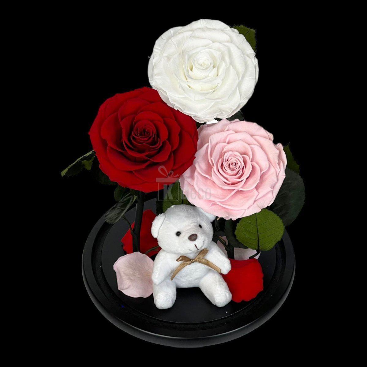 3 Trandafiri Criogenati mari (alb, rosu, roz pal) in cupola de sticla-Kdeco.ro