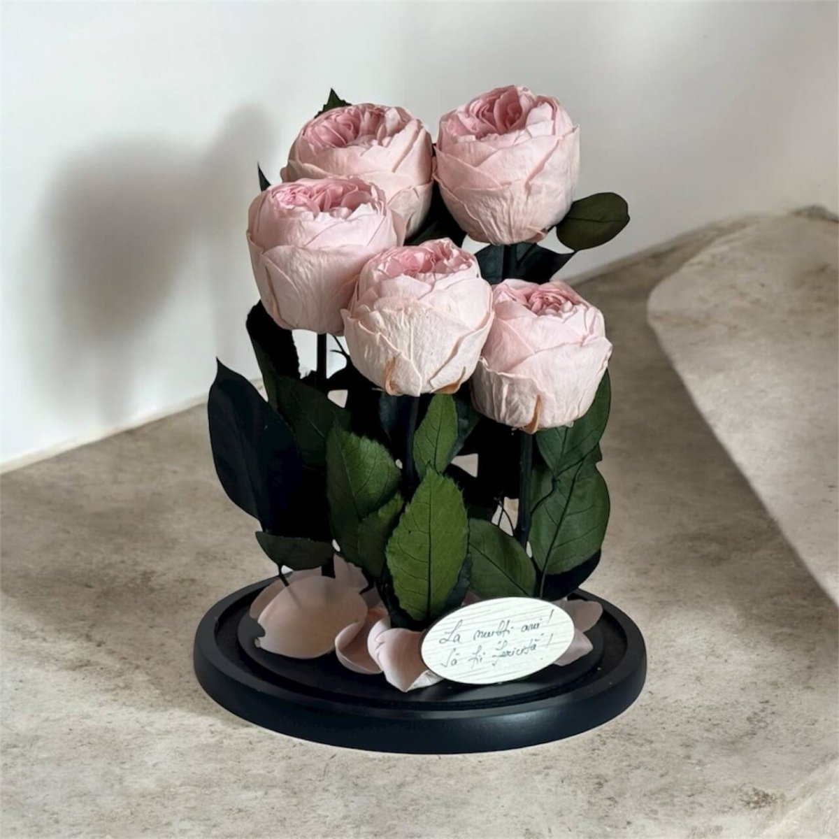5 Bujori Criogenati Roz cu Cupolă din Sticlă Ø6 - 7cm - Cadou cu Mesaj în Cupola 17x28cm - Kdeco.ro