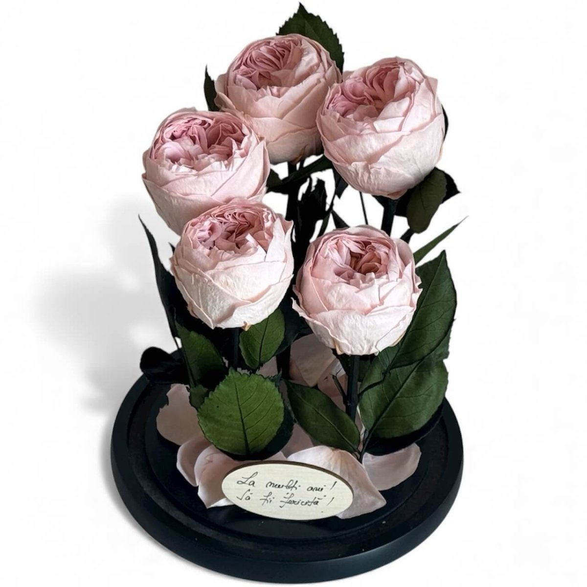5 Bujori Criogenati Roz cu Cupolă din Sticlă Ø6 - 7cm - Cadou cu Mesaj în Cupola 17x28cm - Kdeco.ro