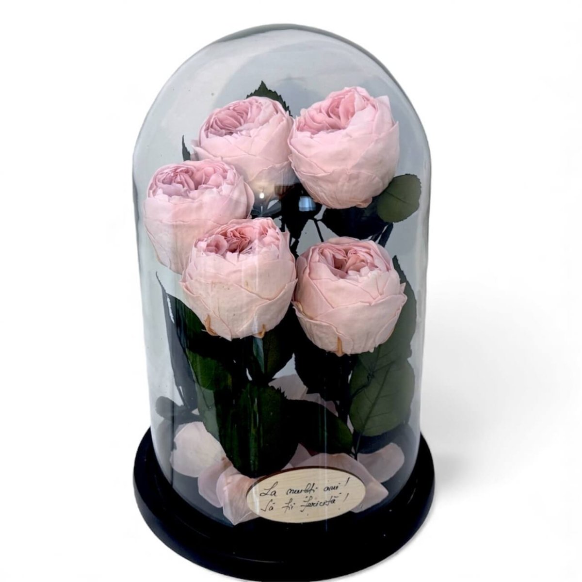 5 Bujori Criogenati Roz cu Cupolă din Sticlă Ø6 - 7cm - Cadou cu Mesaj în Cupola 17x28cm - Kdeco.ro