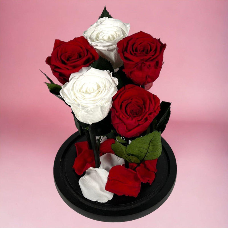 Aranjament floral cu 5 trandafiri criogenati, 2 albi și 3 roșii, pe suport negru, ideal pentru cadouri elegante și durabile.