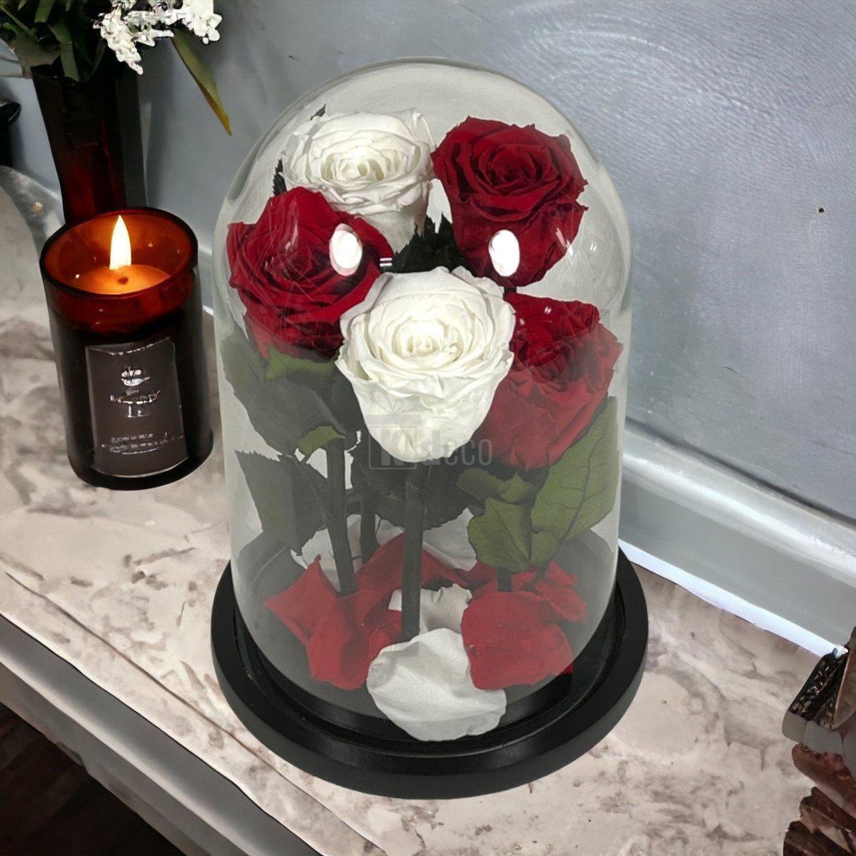 Trandafiri criogenati sub cupolă de sticlă, aranjament floral elegant, perfect pentru decor romantic sau cadou.